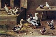 unknow artist, poultry  174